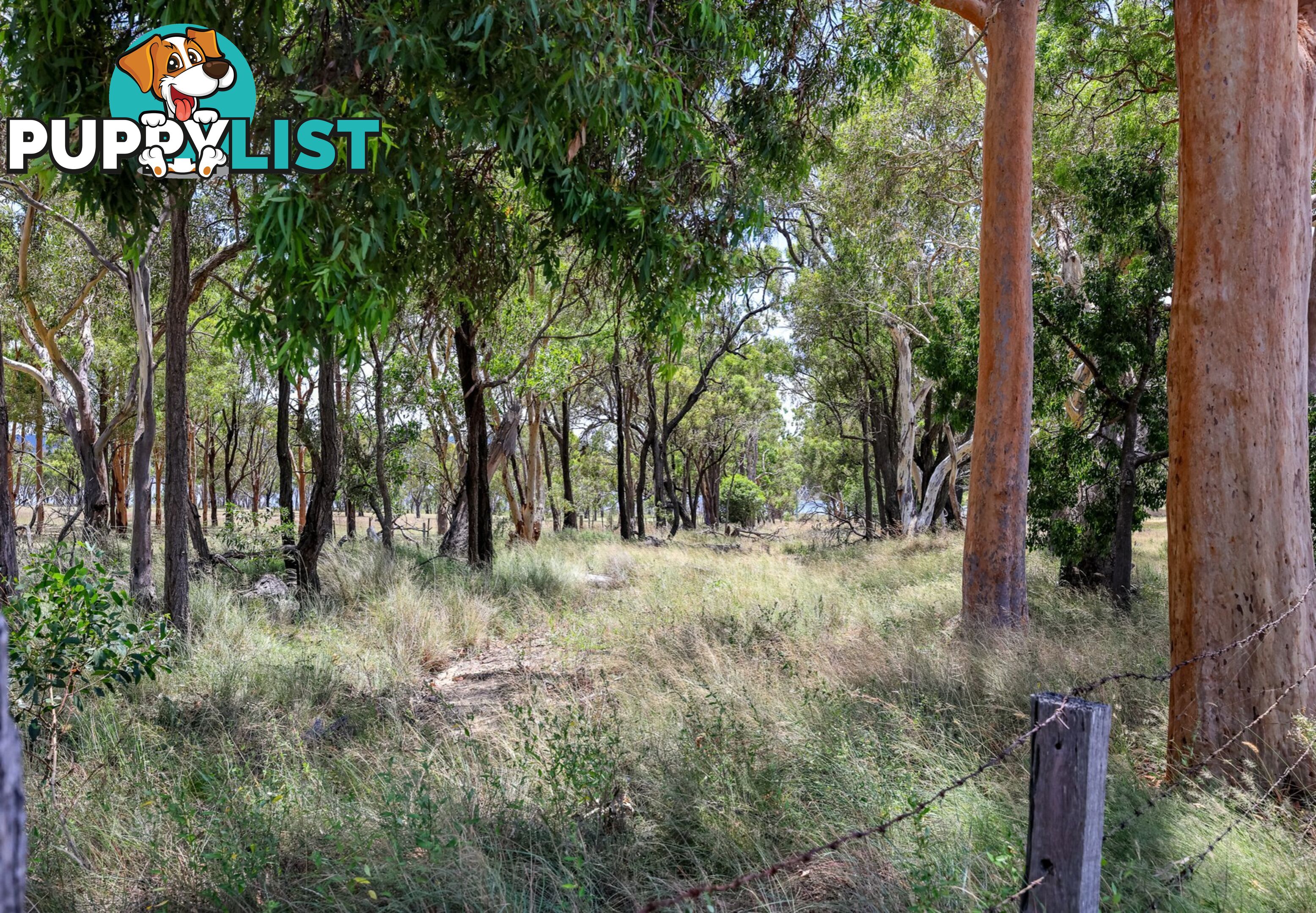 Lot 1 Saddledam Road LESLIE DAM QLD 4370