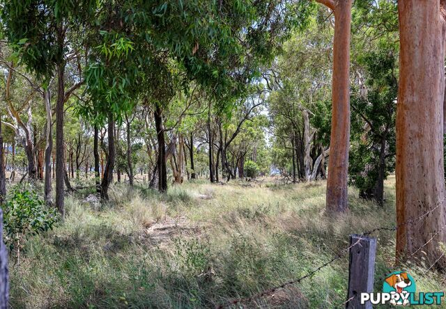 Lot 1 Saddledam Road LESLIE DAM QLD 4370
