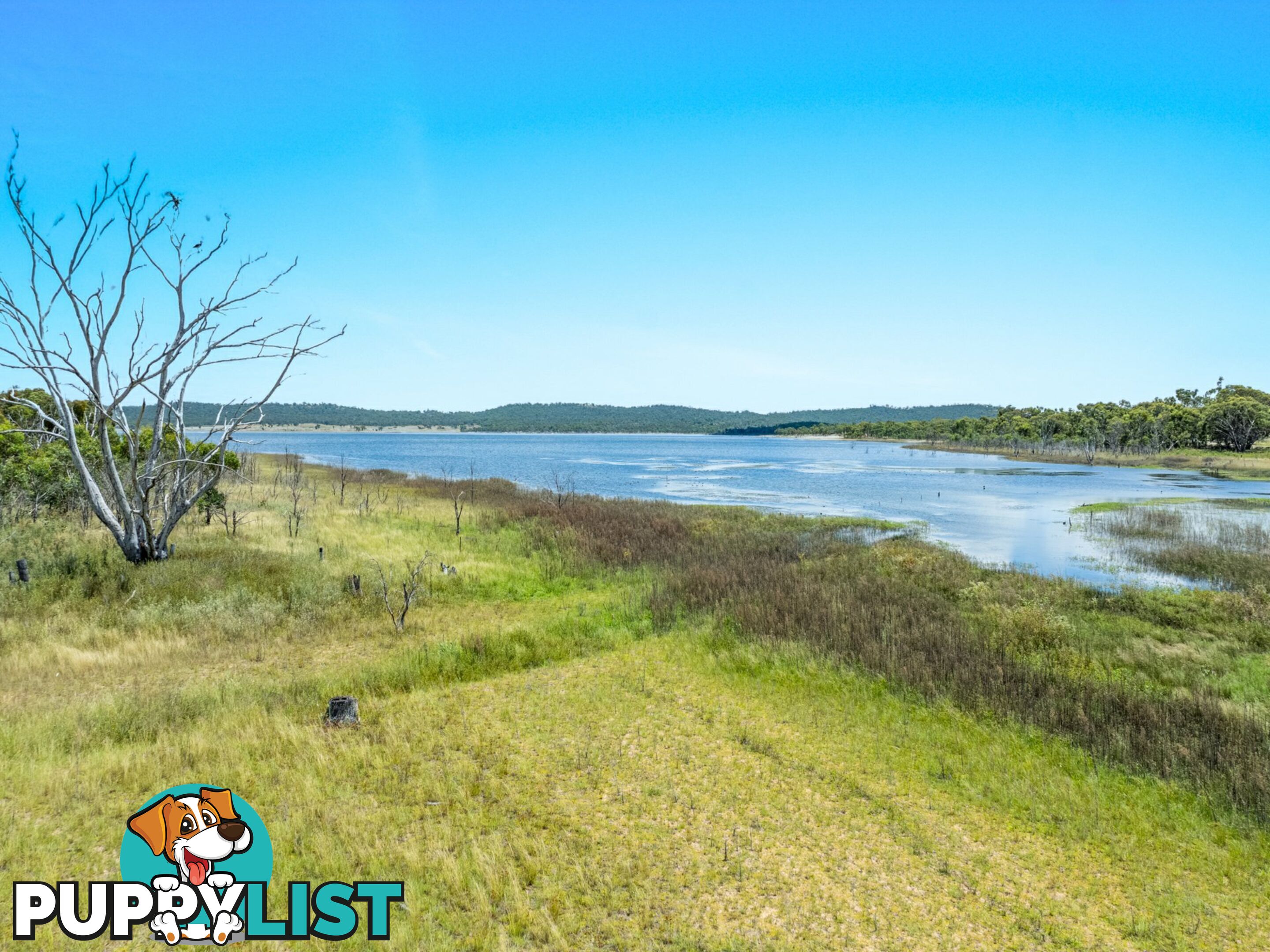 Lot 1 Saddledam Road LESLIE DAM QLD 4370