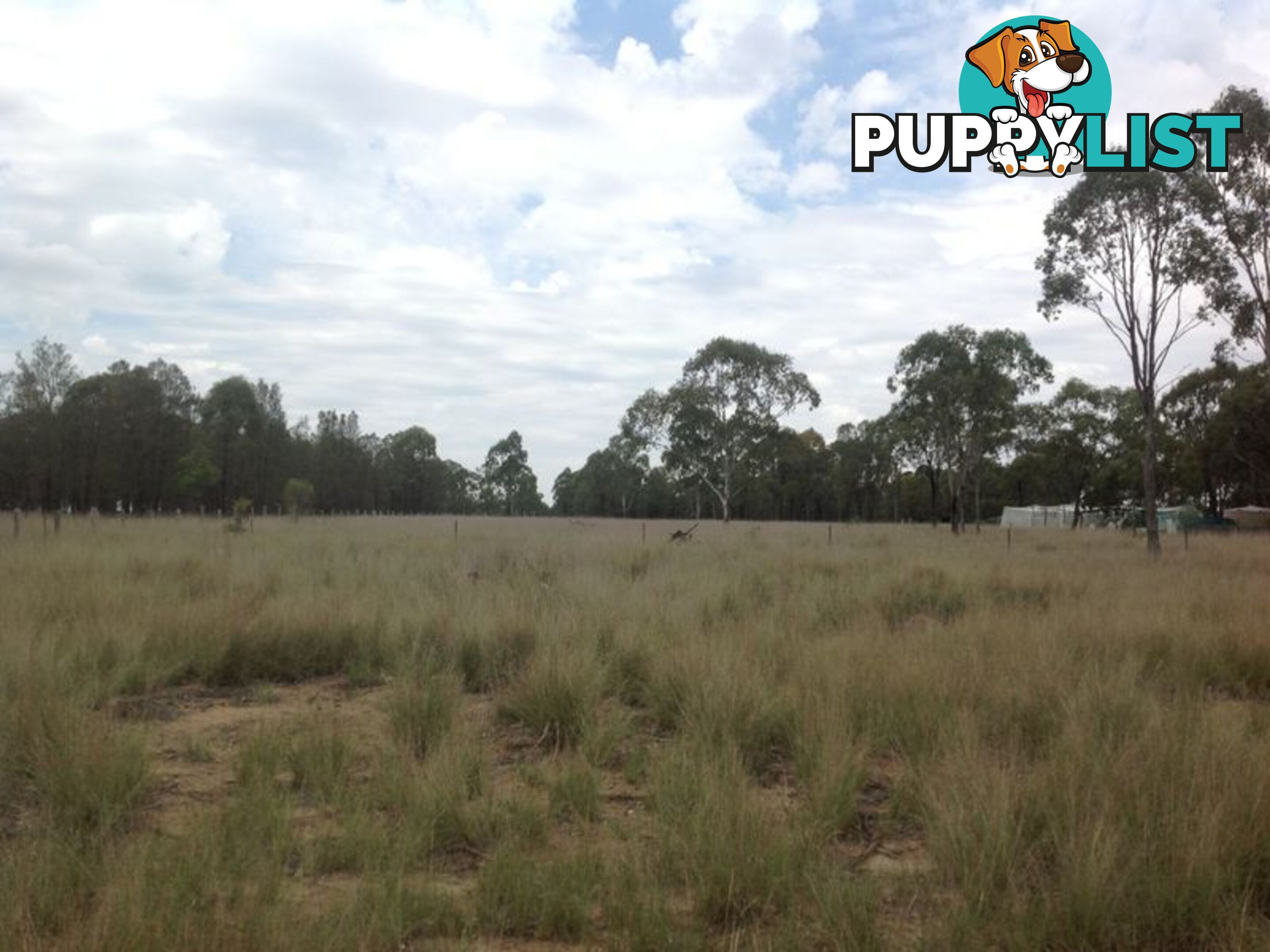 Lot 3 Hendon Deuchar Road ALLORA QLD 4362