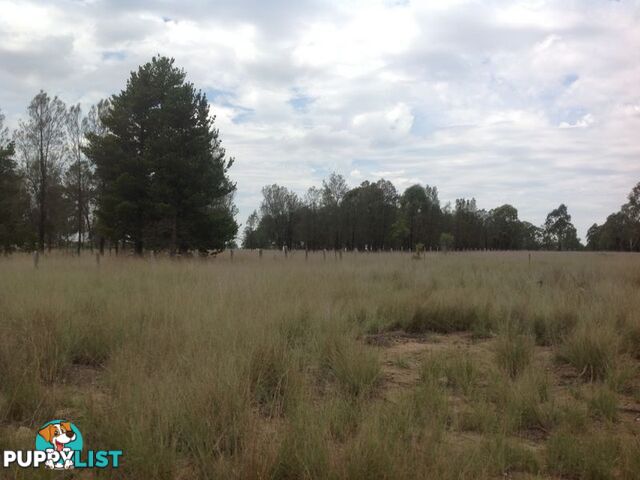 Lot 3 Hendon Deuchar Road ALLORA QLD 4362