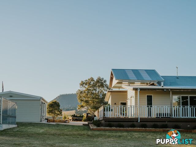 461 Jack Smith Gully Road FREESTONE QLD 4370