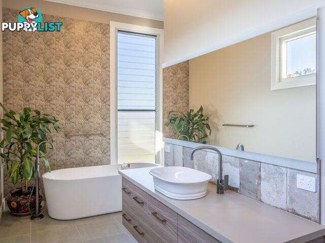461 Jack Smith Gully Road FREESTONE QLD 4370