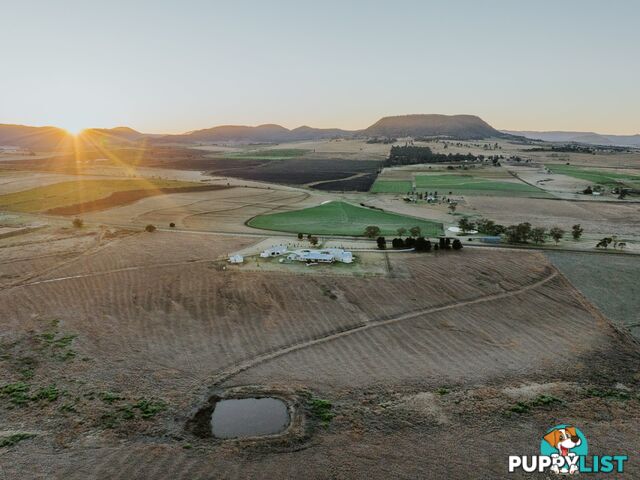 461 Jack Smith Gully Road FREESTONE QLD 4370