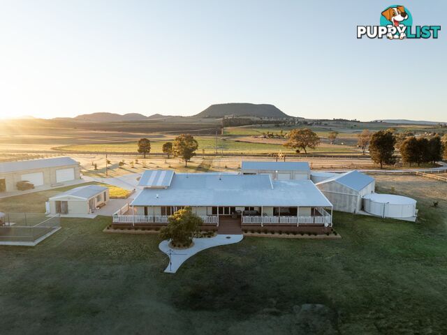 461 Jack Smith Gully Road FREESTONE QLD 4370
