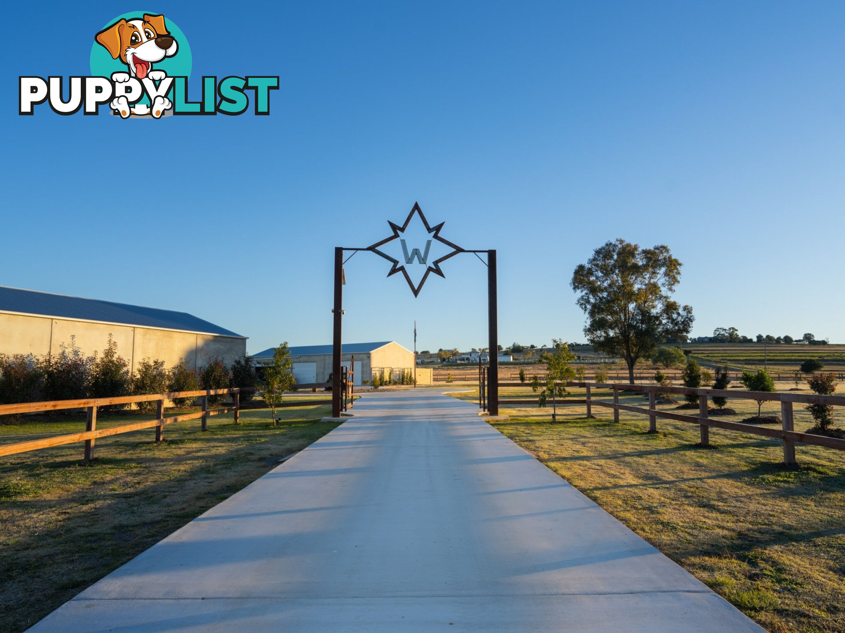 461 Jack Smith Gully Road FREESTONE QLD 4370