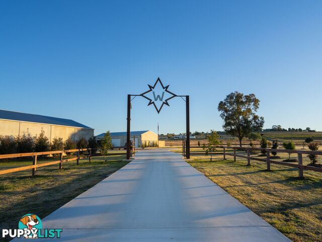 461 Jack Smith Gully Road FREESTONE QLD 4370