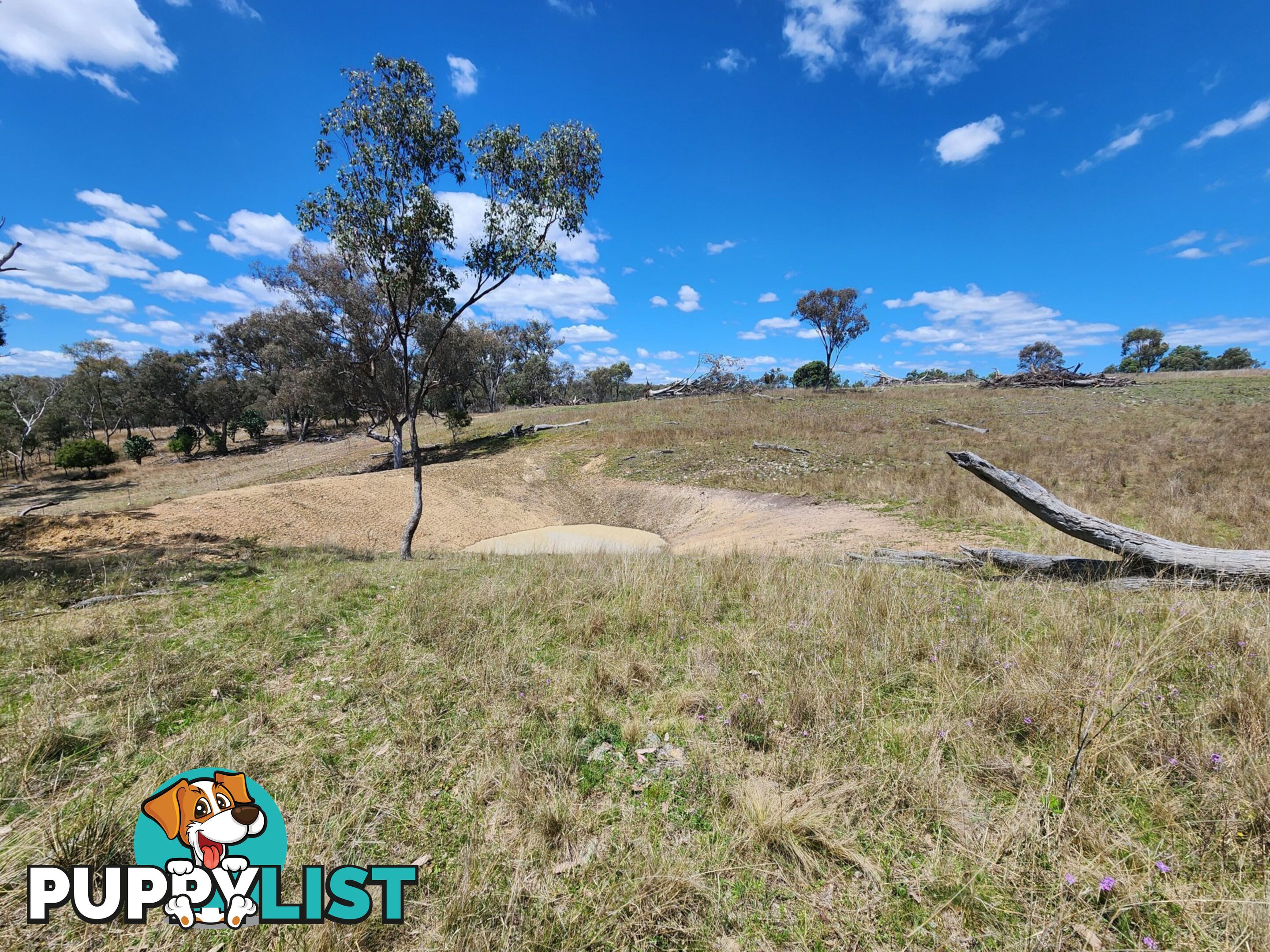 Lot 11 Pikedale Lane STANTHORPE QLD 4380