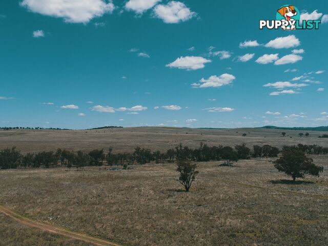 Lot 11 Pikedale Lane STANTHORPE QLD 4380