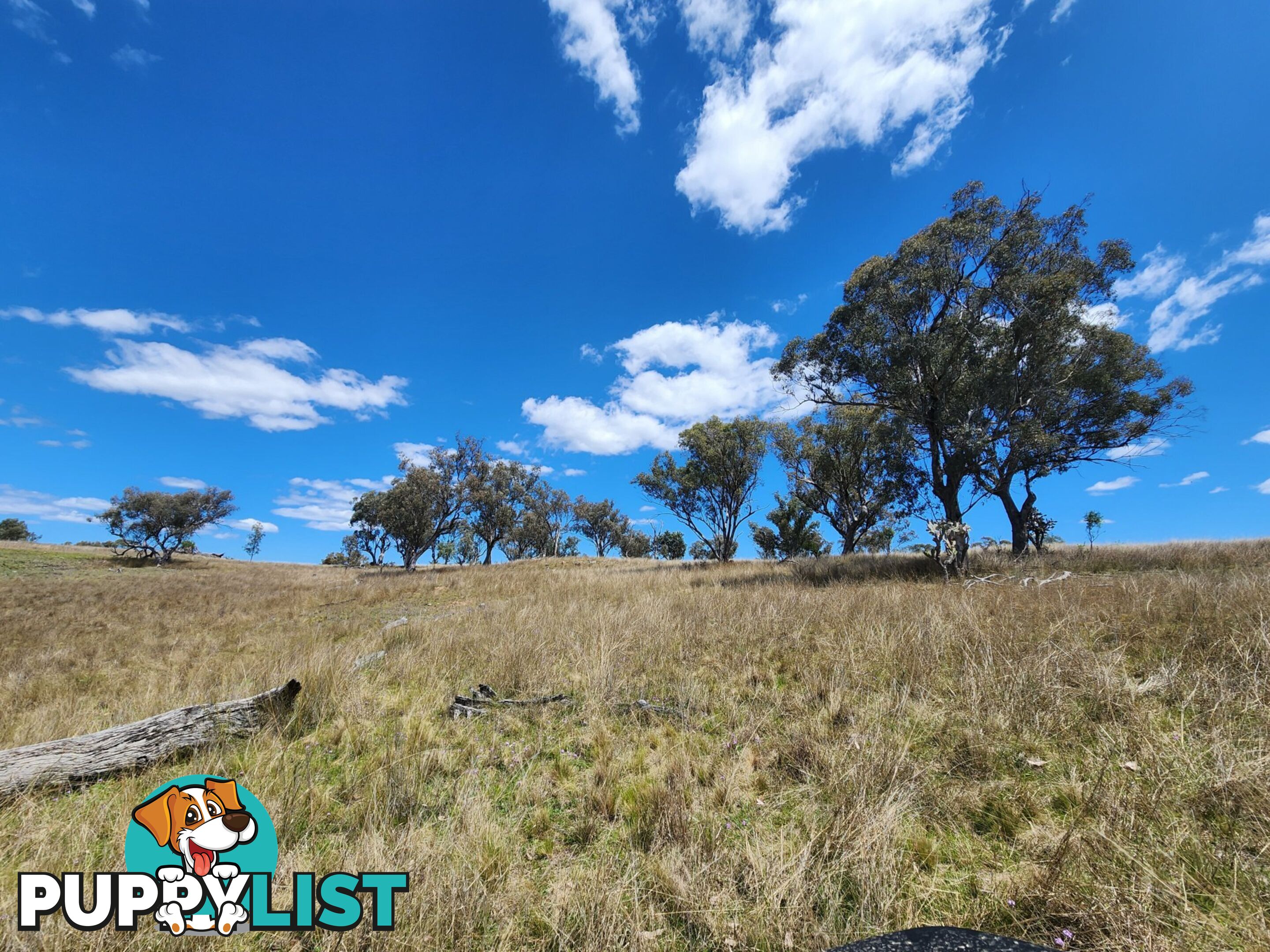 Lot 11 Pikedale Lane STANTHORPE QLD 4380