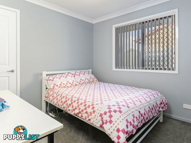 8 Flitcroft Street WARWICK QLD 4370