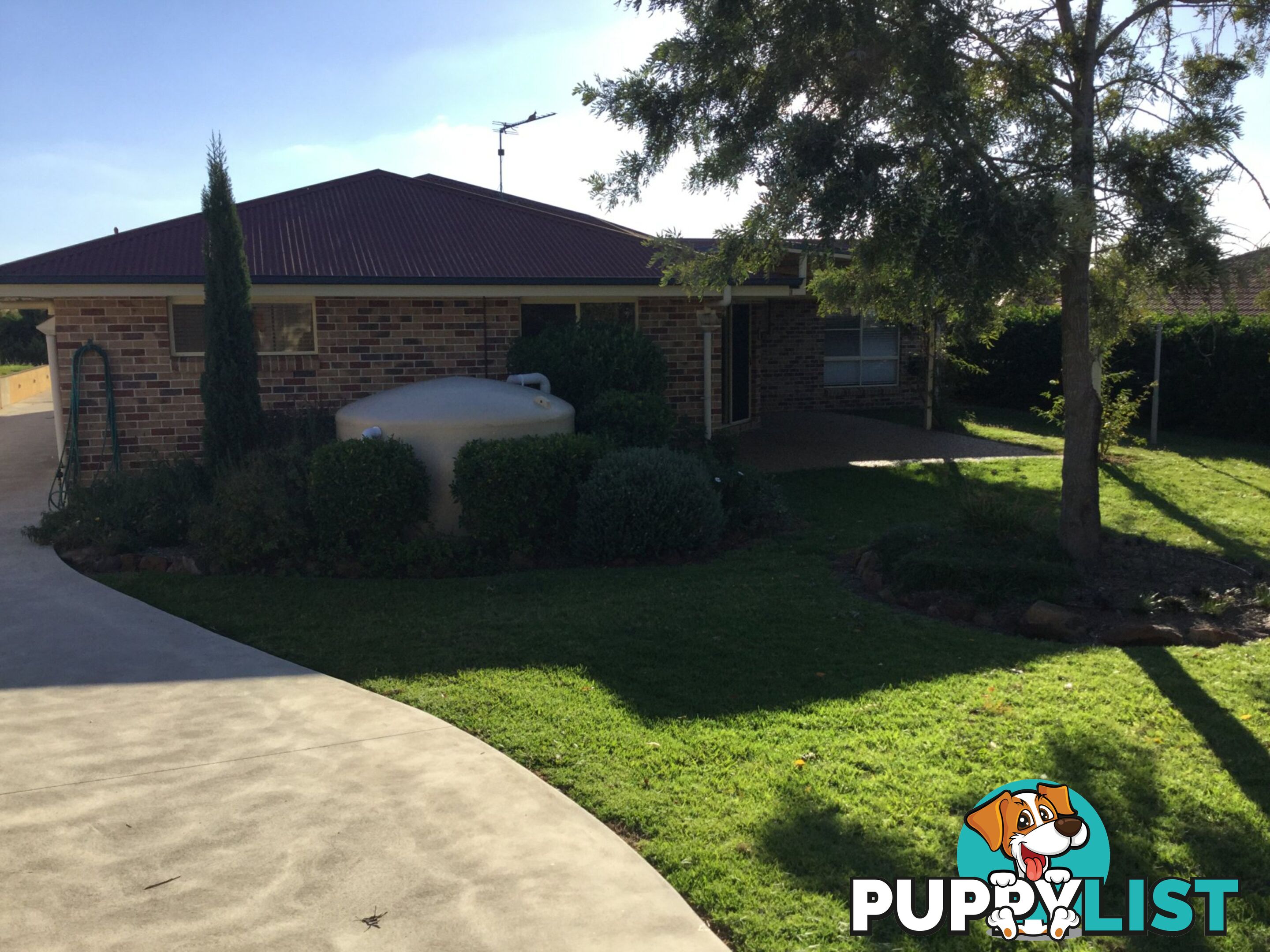 6 Colwar Court WARWICK QLD 4370