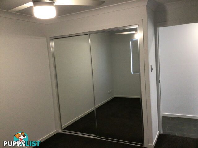 14 Pera Crescent WARWICK QLD 4370