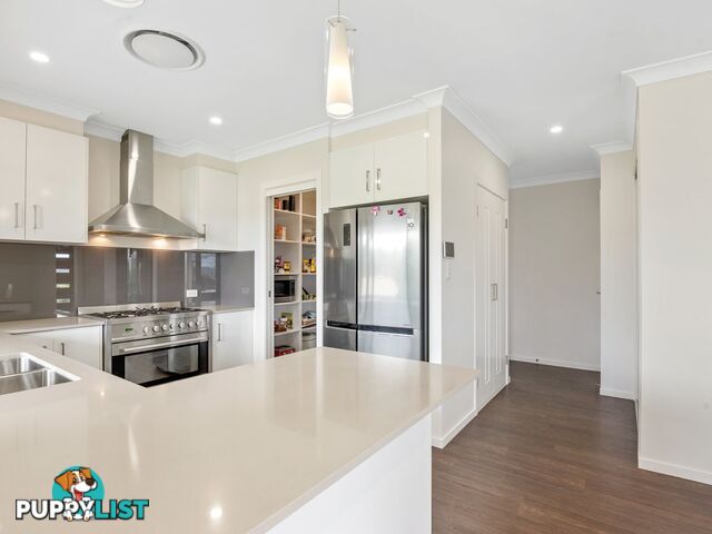5 Lookout Place ROSENTHAL HEIGHTS QLD 4370