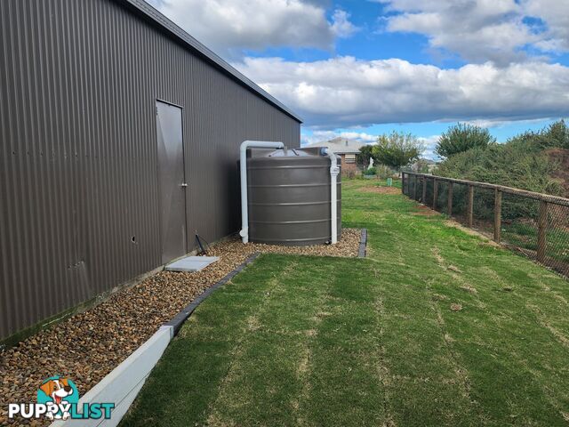 21 Crebra Court WARWICK QLD 4370