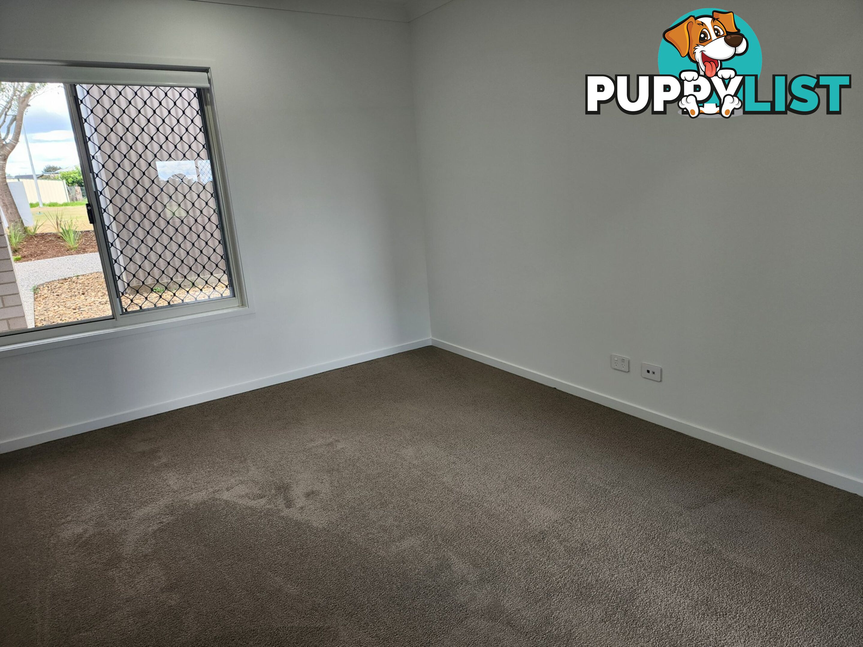 21 Crebra Court WARWICK QLD 4370