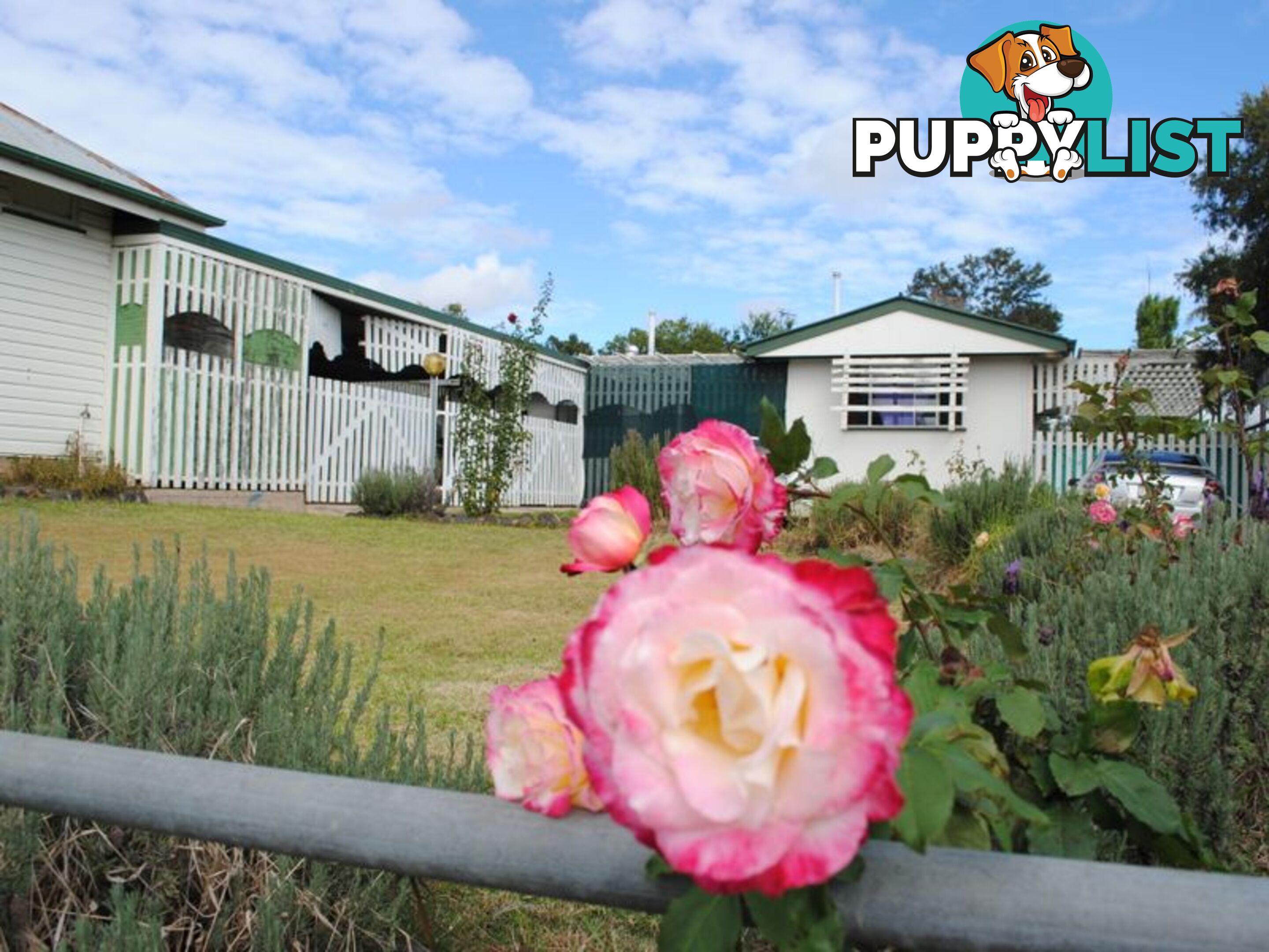 104 Horsman Road WARWICK QLD 4370