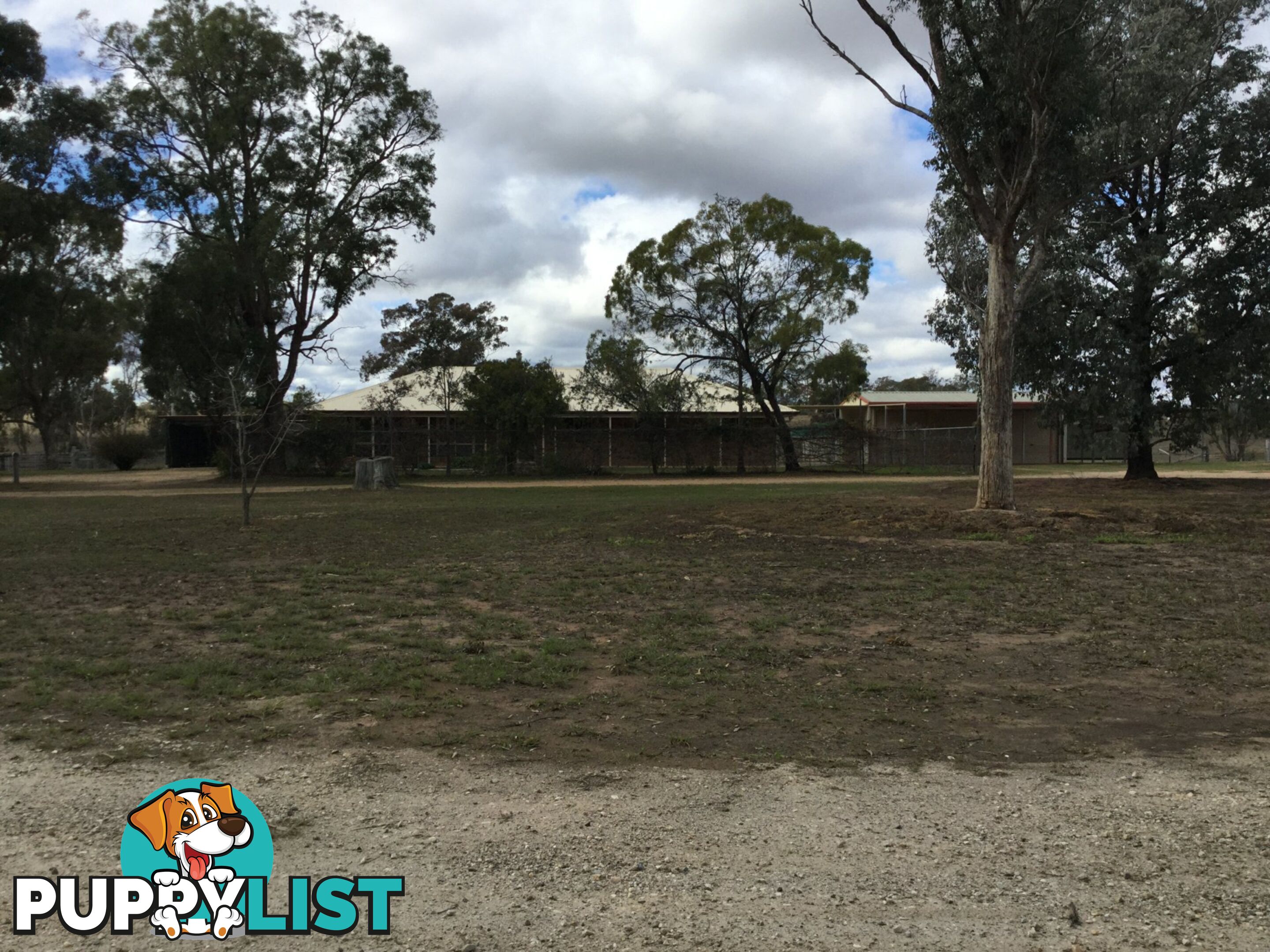 231 Washpool Road ROSENTHAL HEIGHTS QLD 4370