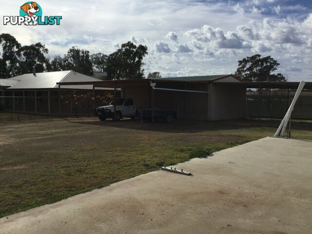 231 Washpool Road ROSENTHAL HEIGHTS QLD 4370