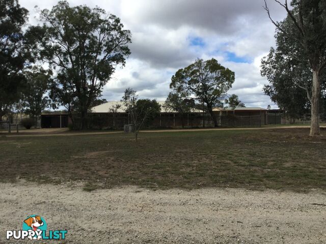 231 Washpool Road ROSENTHAL HEIGHTS QLD 4370