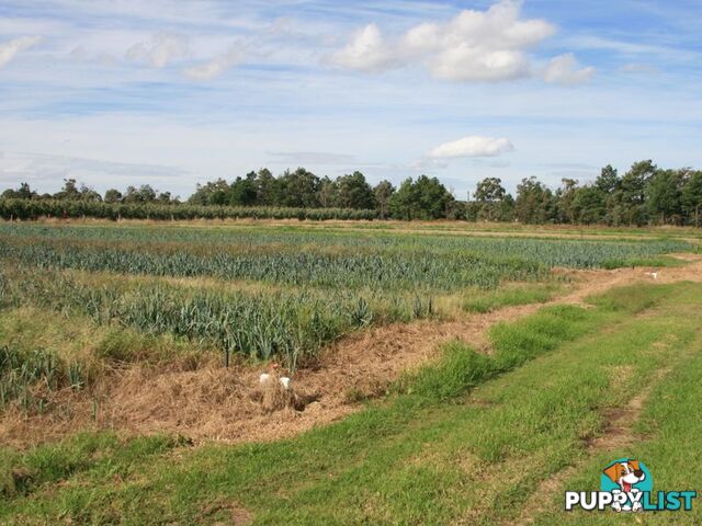 STANTHORPE QLD 4380