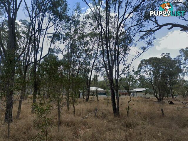 Lot 20 Lester Street PRATTEN QLD 4370