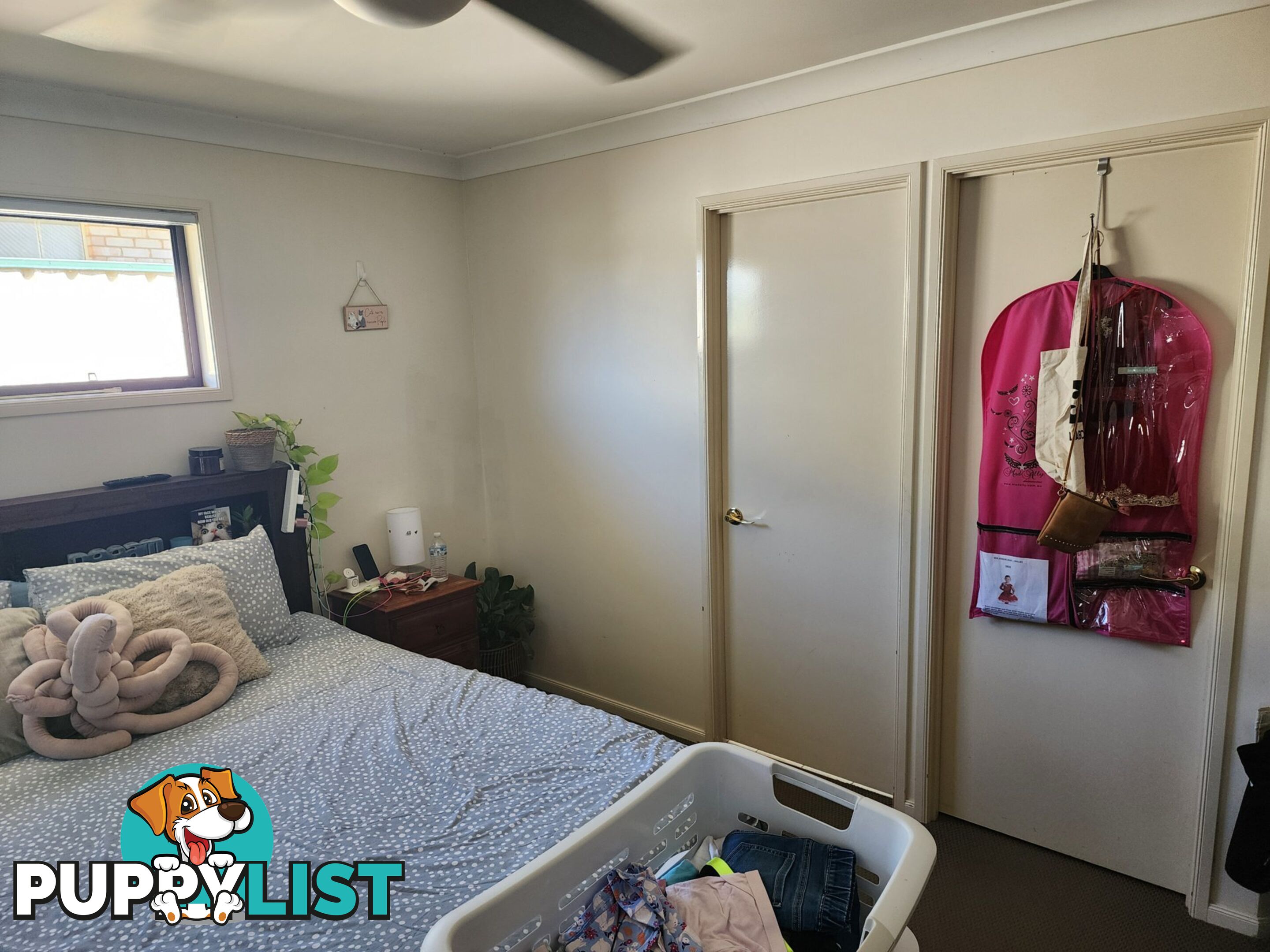47 Bisley Street WARWICK QLD 4370