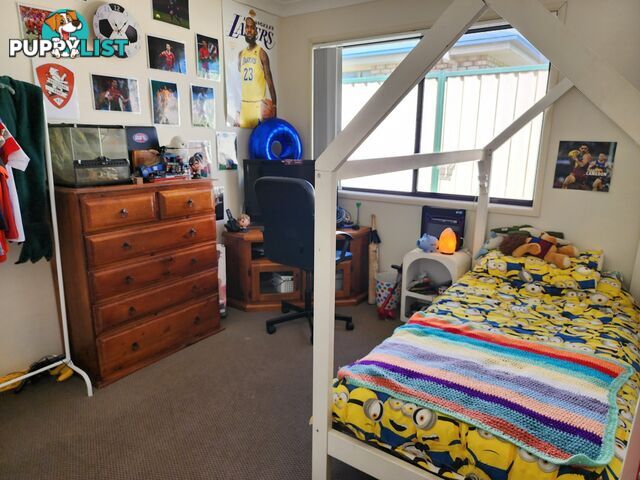 47 Bisley Street WARWICK QLD 4370