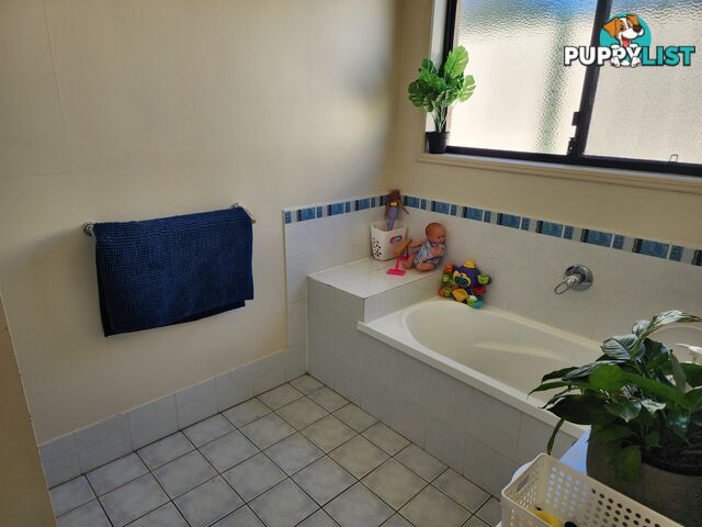 47 Bisley Street WARWICK QLD 4370
