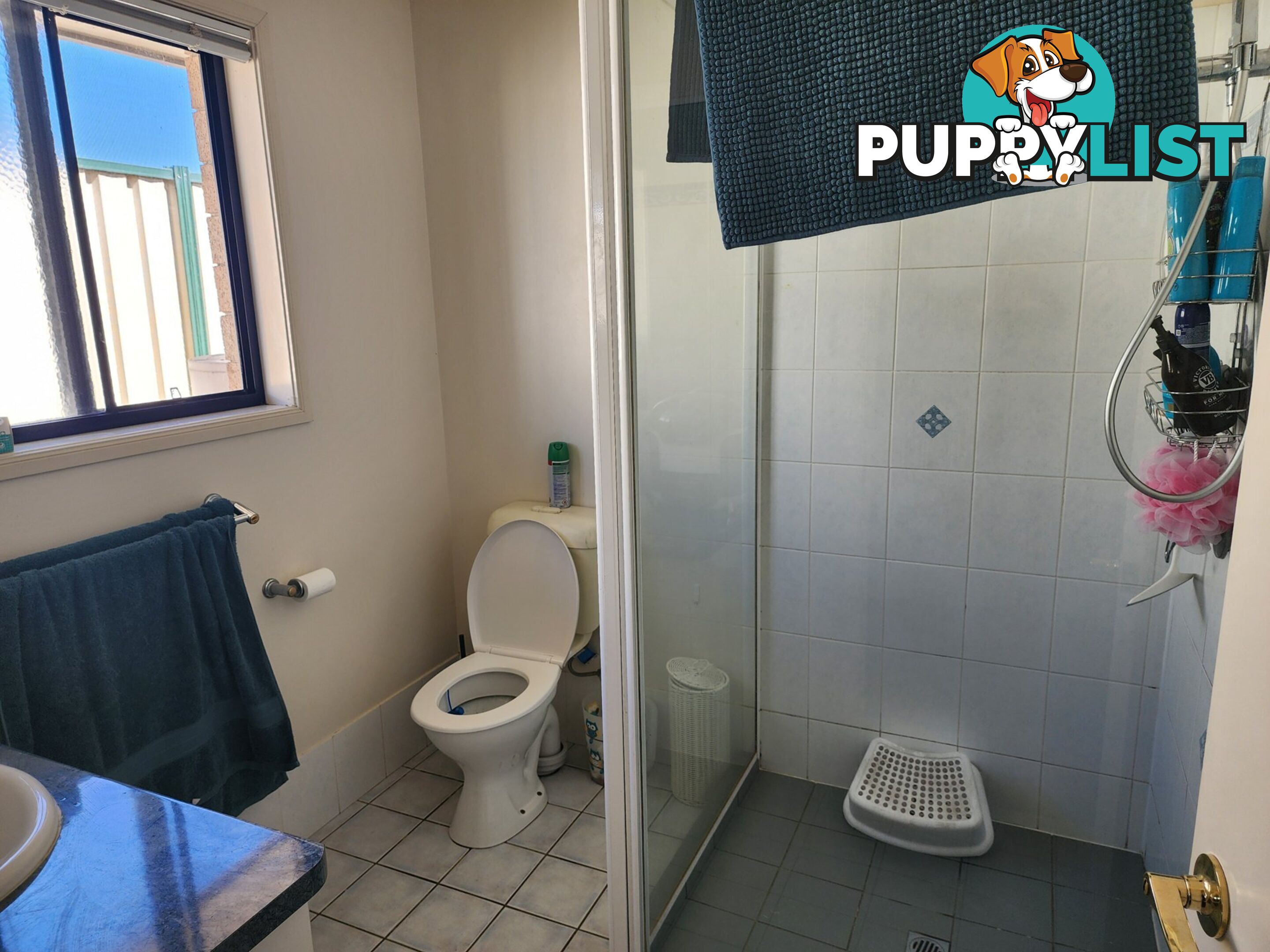 47 Bisley Street WARWICK QLD 4370