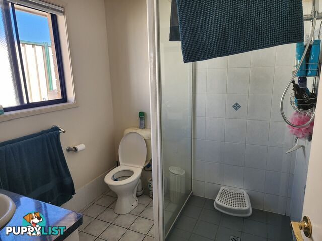 47 Bisley Street WARWICK QLD 4370