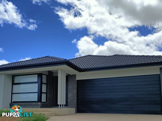 20 Pera Crescent WARWICK QLD 4370