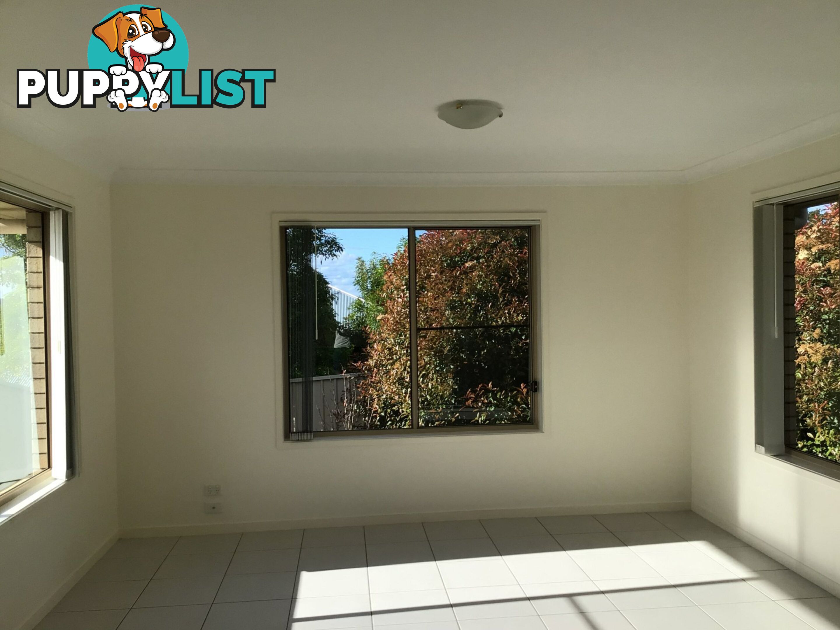 8a Lookout Place WARWICK QLD 4370