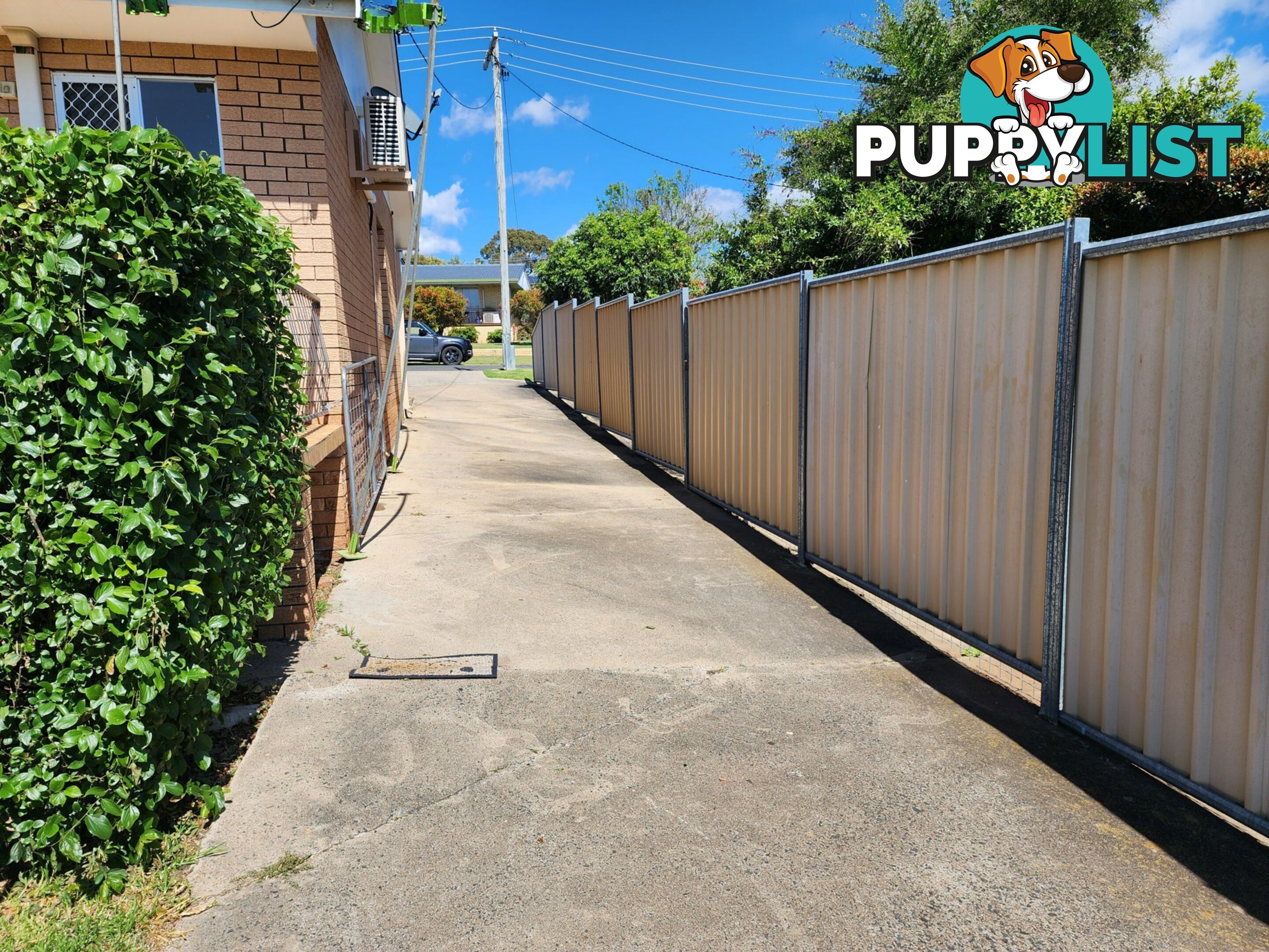 12 Redgwell Street WARWICK QLD 4370