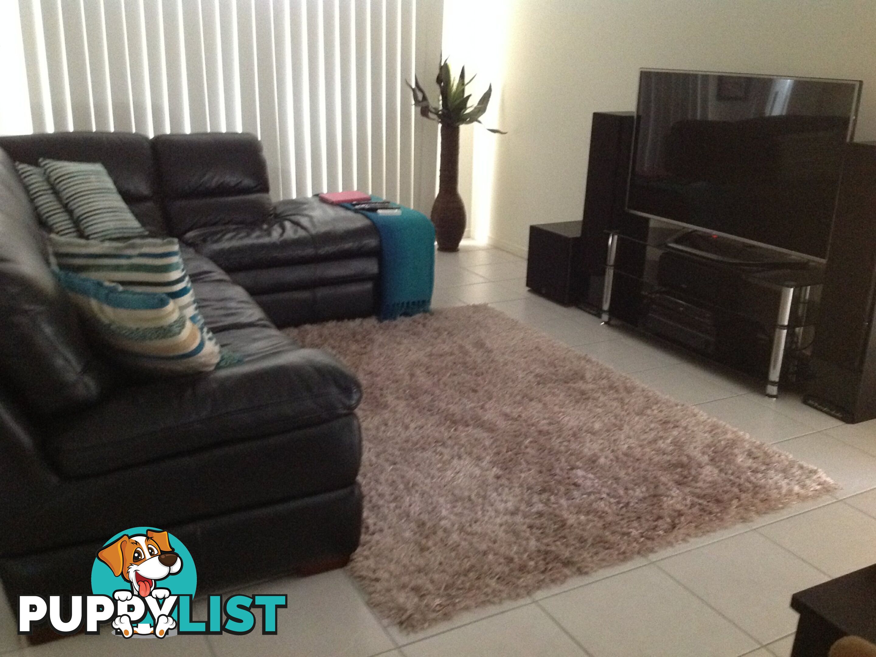 39 Sharon Drive WARWICK QLD 4370