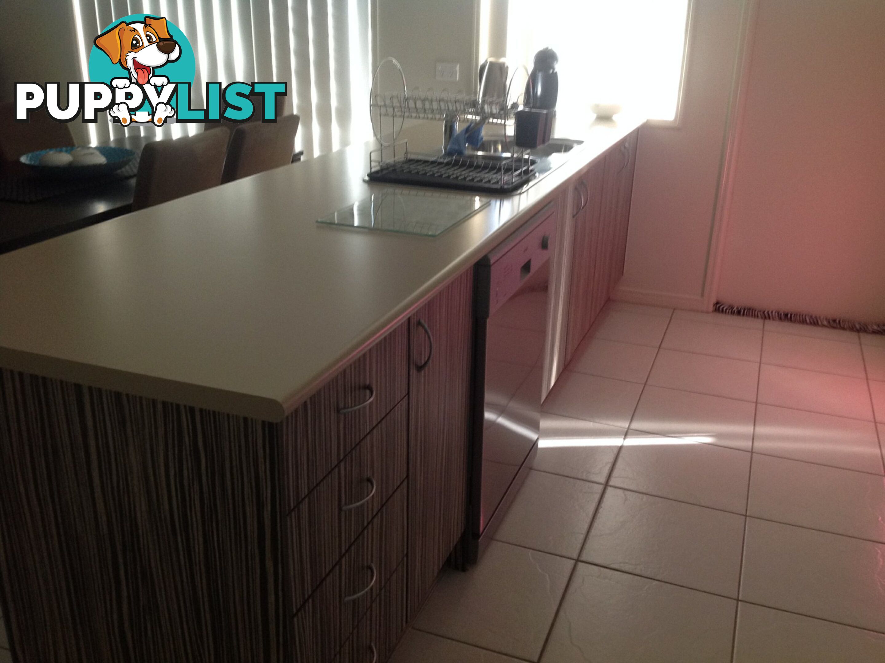 39 Sharon Drive WARWICK QLD 4370