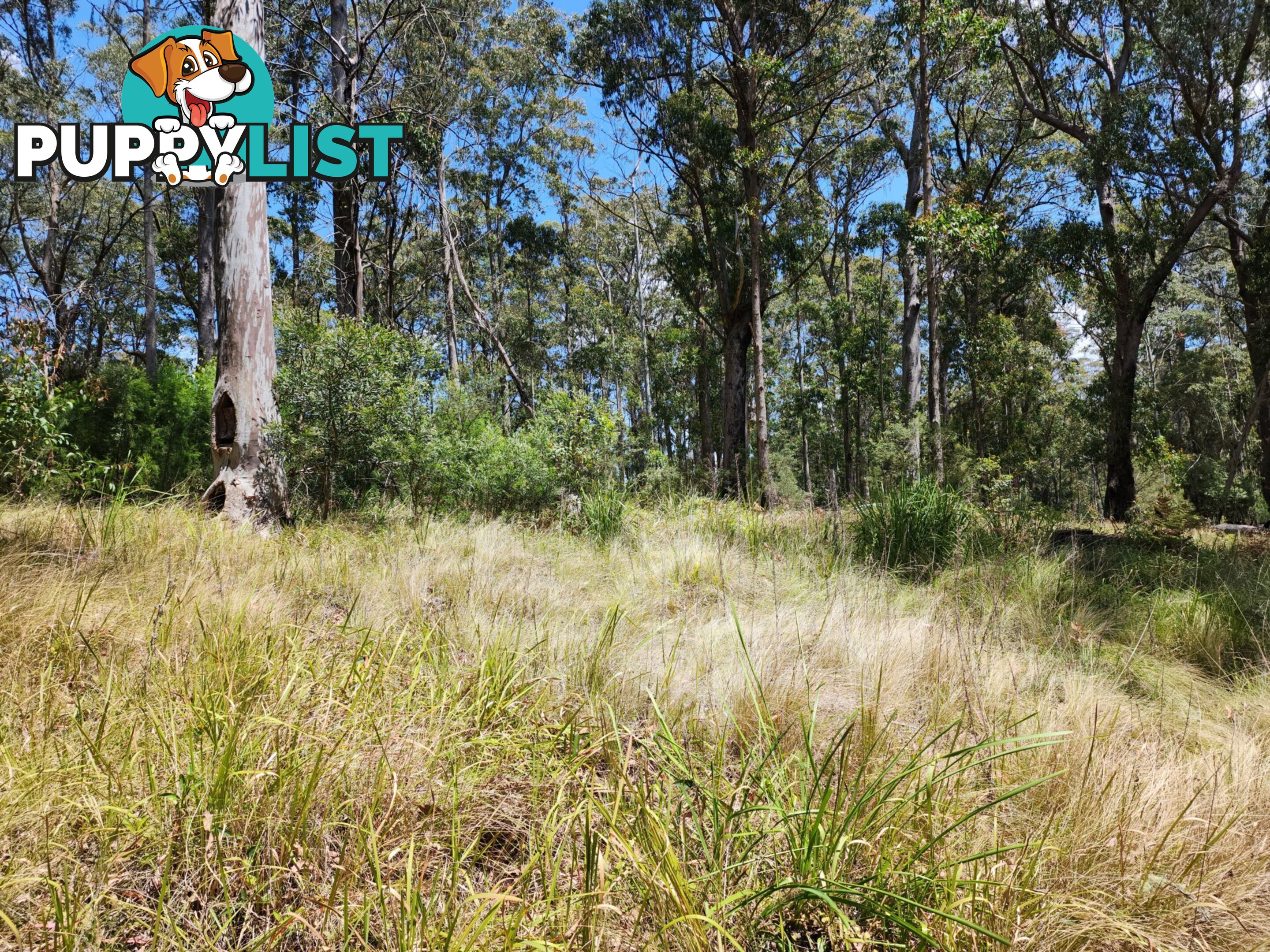 Lot 73 Gambubal Road MOUNT COLLIERY QLD 4370