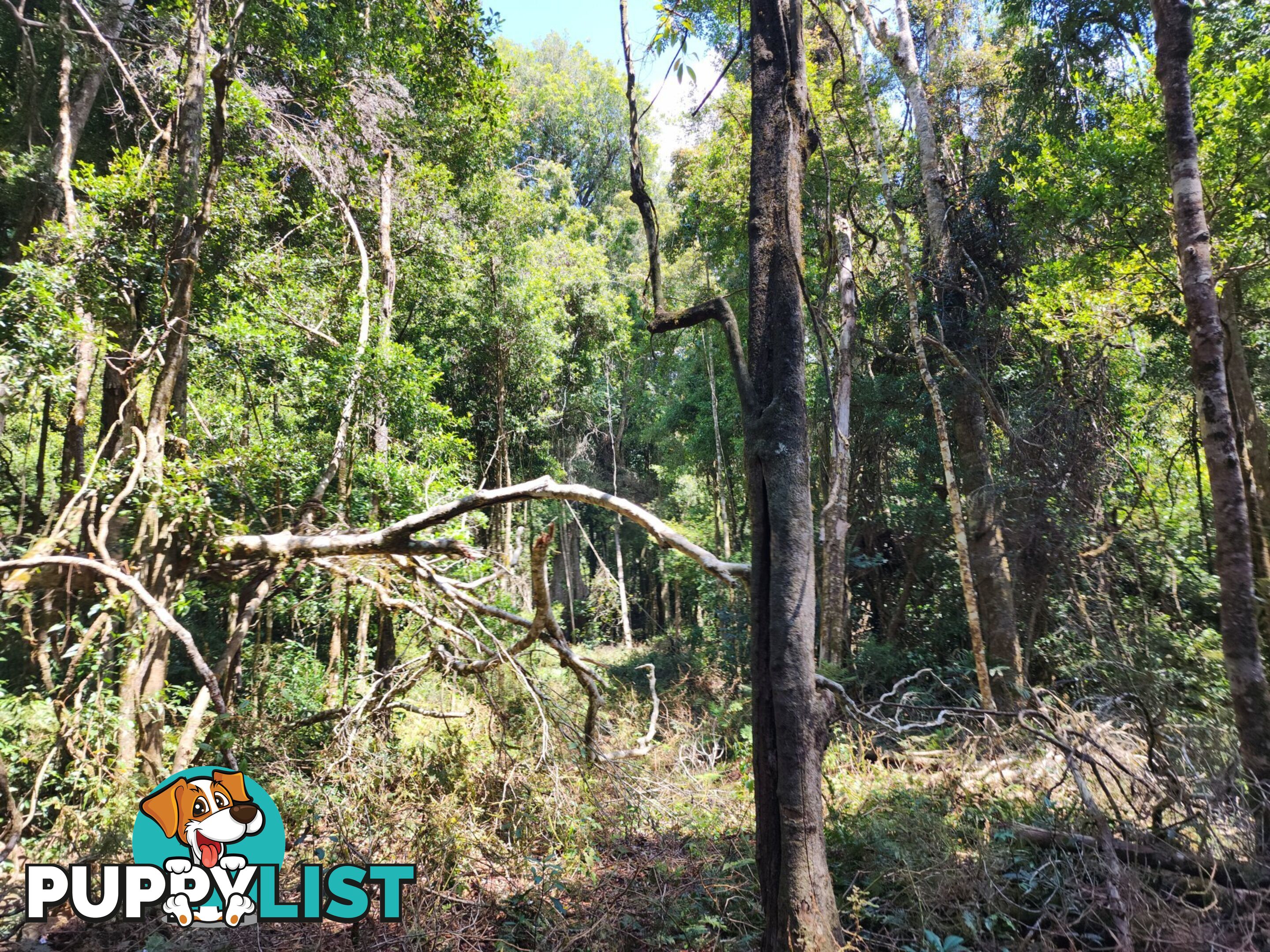 Lot 73 Gambubal Road MOUNT COLLIERY QLD 4370