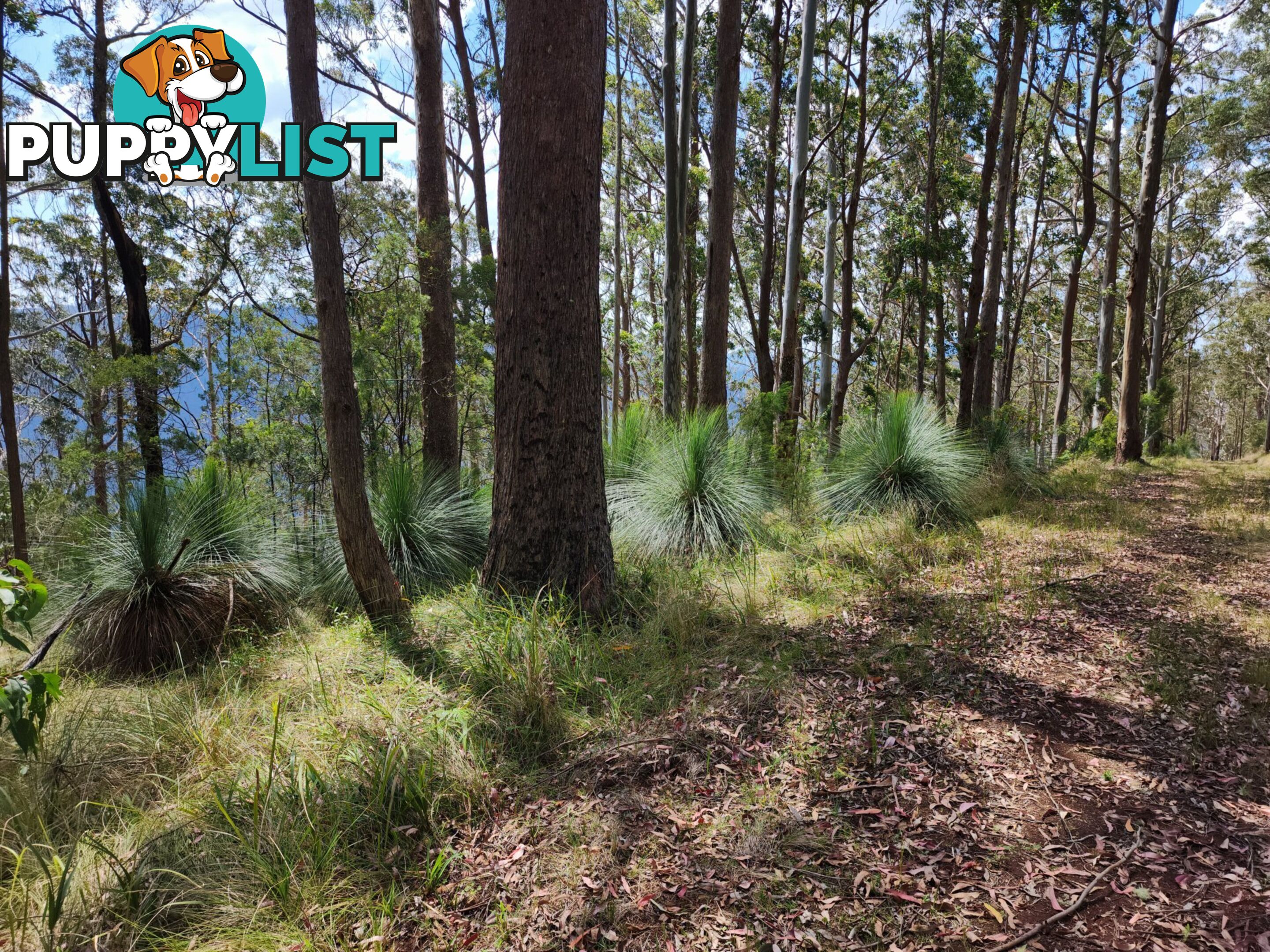 Lot 73 Gambubal Road MOUNT COLLIERY QLD 4370