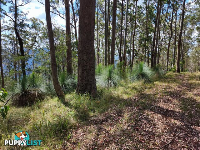 Lot 73 Gambubal Road MOUNT COLLIERY QLD 4370