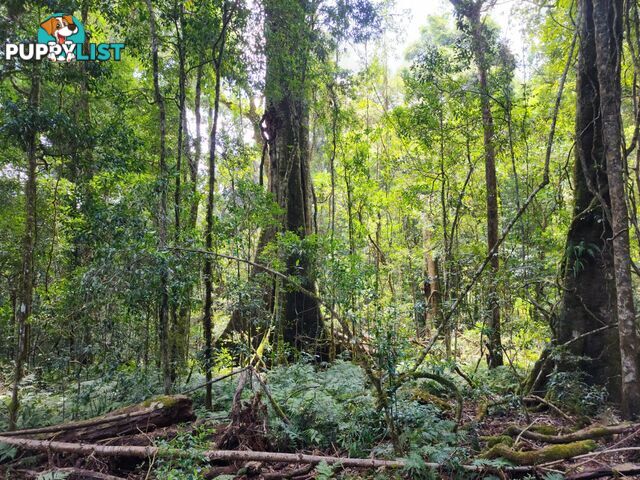 Lot 73 Gambubal Road MOUNT COLLIERY QLD 4370