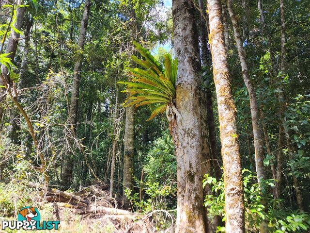 Lot 73 Gambubal Road MOUNT COLLIERY QLD 4370