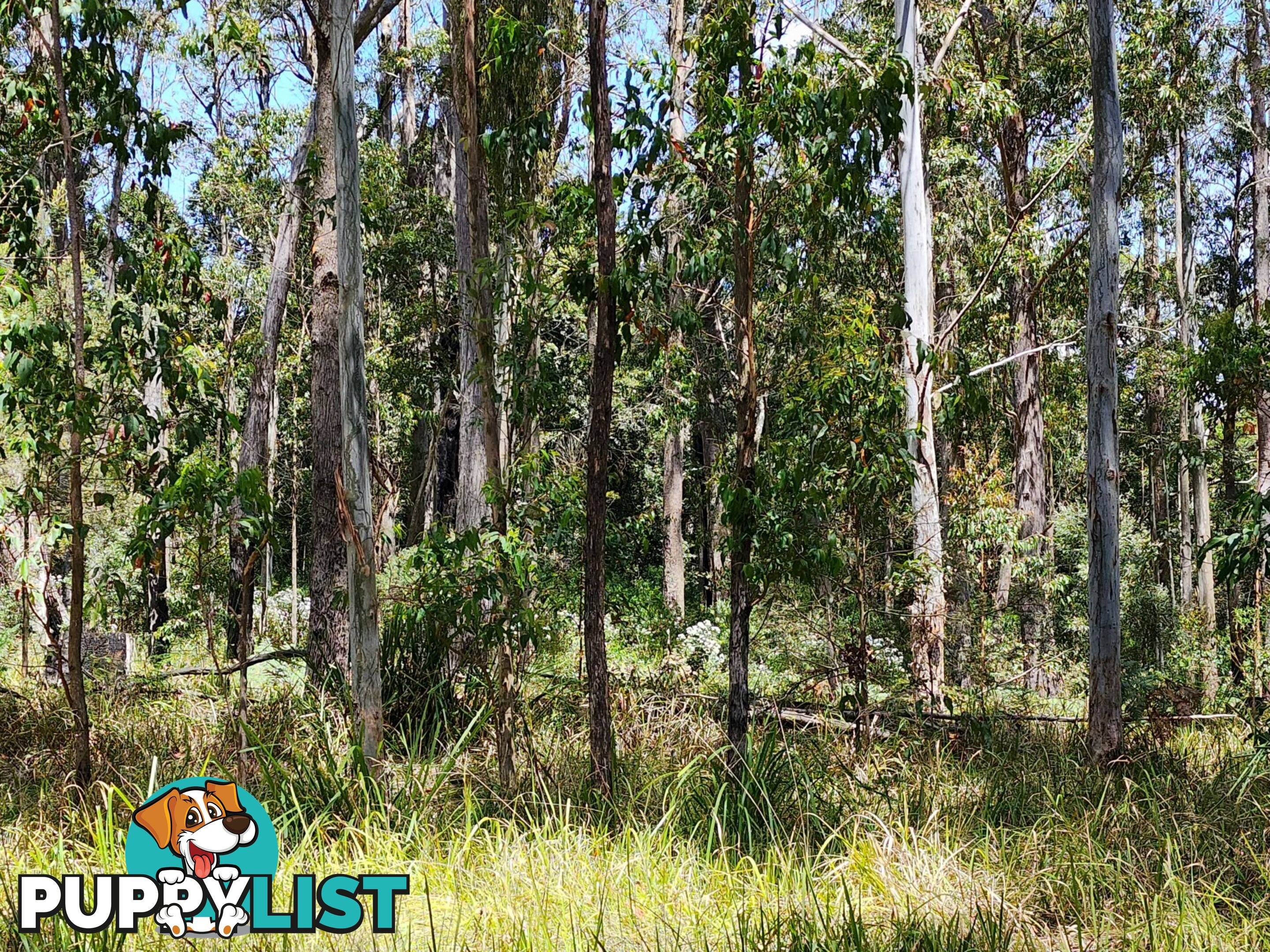 Lot 73 Gambubal Road MOUNT COLLIERY QLD 4370