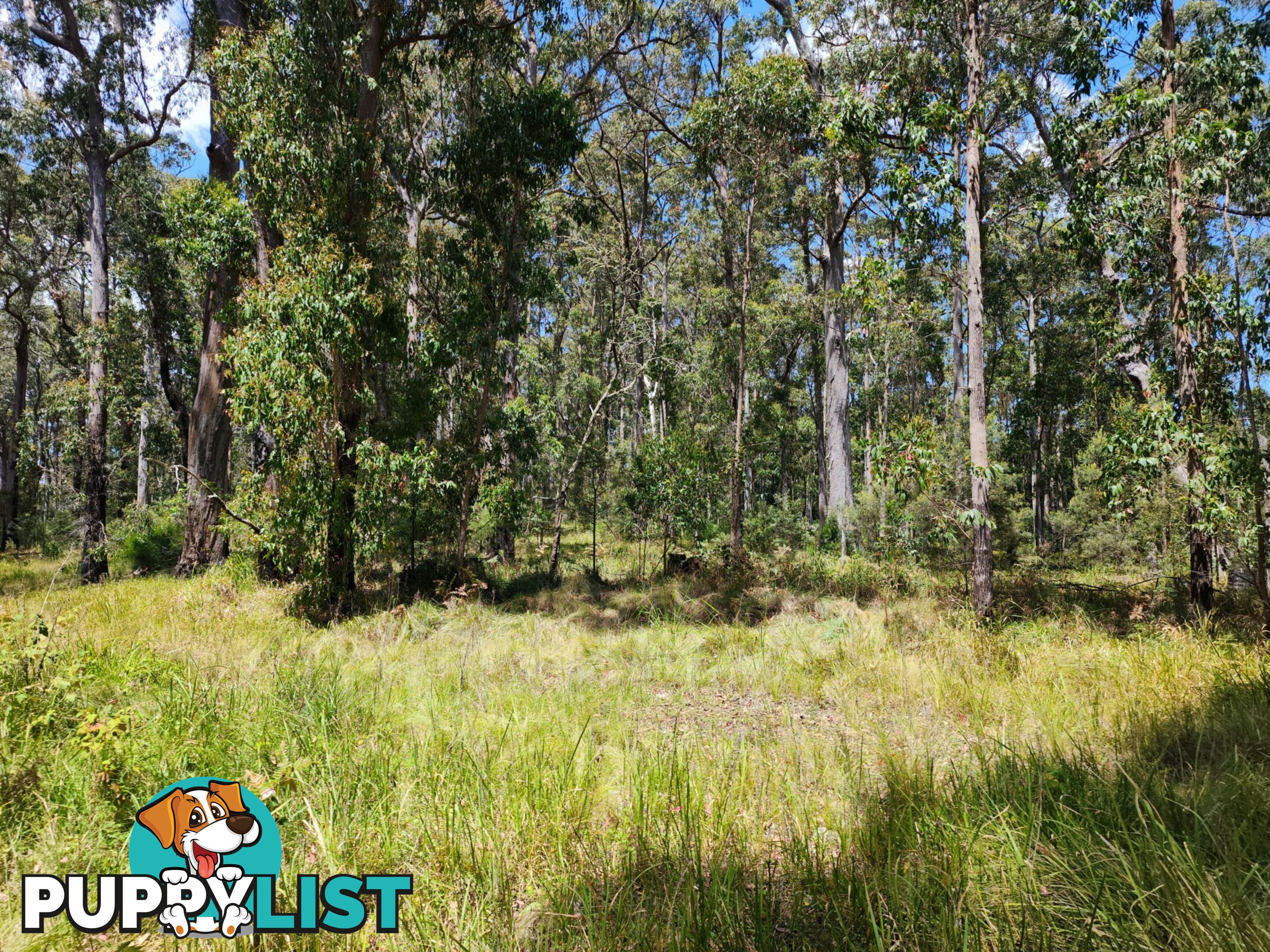 Lot 73 Gambubal Road MOUNT COLLIERY QLD 4370