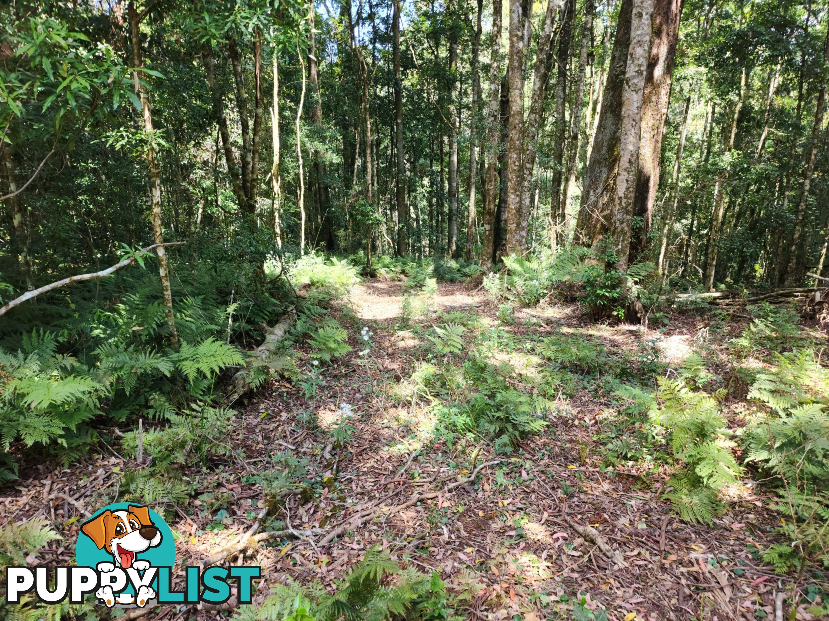 Lot 73 Gambubal Road MOUNT COLLIERY QLD 4370