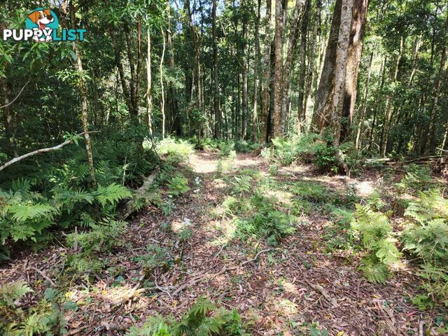 Lot 73 Gambubal Road MOUNT COLLIERY QLD 4370