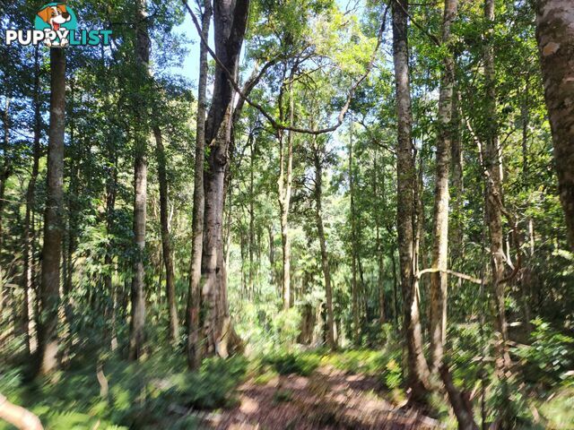 Lot 73 Gambubal Road MOUNT COLLIERY QLD 4370