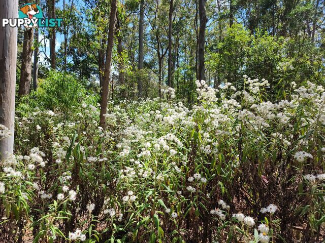 Lot 73 Gambubal Road MOUNT COLLIERY QLD 4370