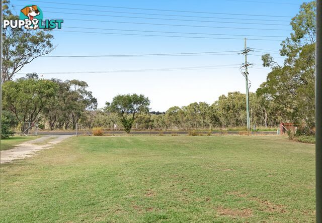 91 East Street WARWICK QLD 4370