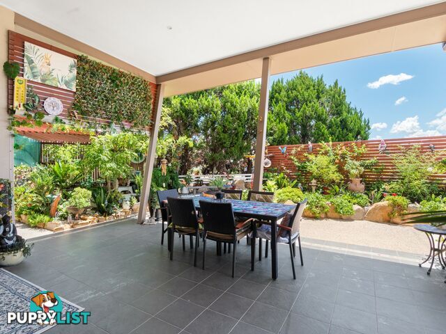 41 Bisley Street WARWICK QLD 4370